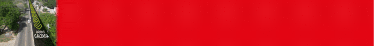 spot_img