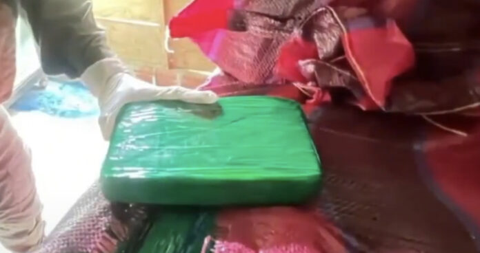 Crédito: Captura de Pantalla